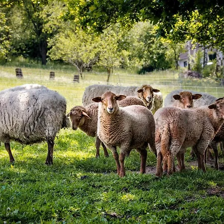 Sonnenscheinhaus 2 Apartamento
